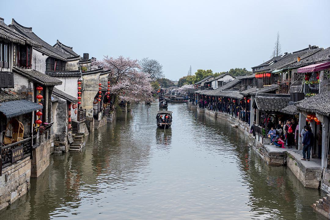 逃出林中村